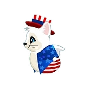 American Kitty